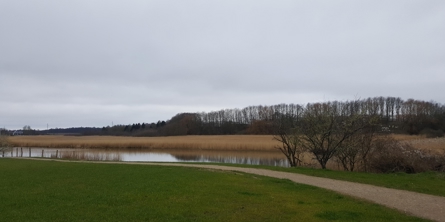 bakken ved sygeplejeskolen og stisystemet bag Birkebjergcentret.