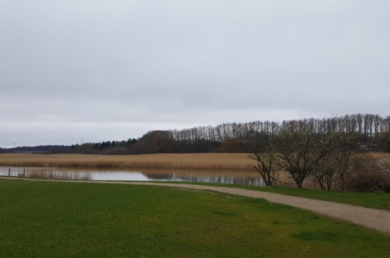bakken ved sygeplejeskolen og stisystemet bag Birkebjergcentret.