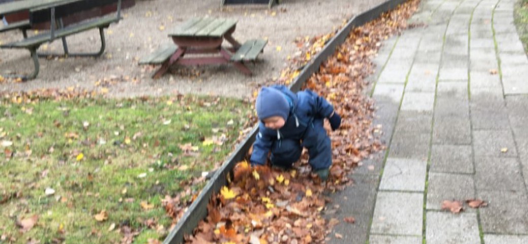 Dreng leger med bladene ved vejen