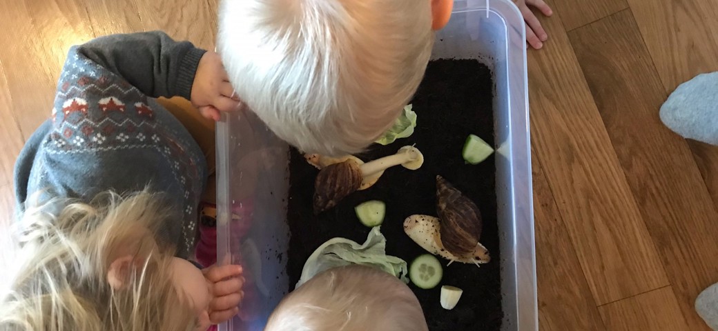 Tre børn ser på snegle