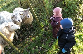 To børn i flyverdrager står og ser på tre får
