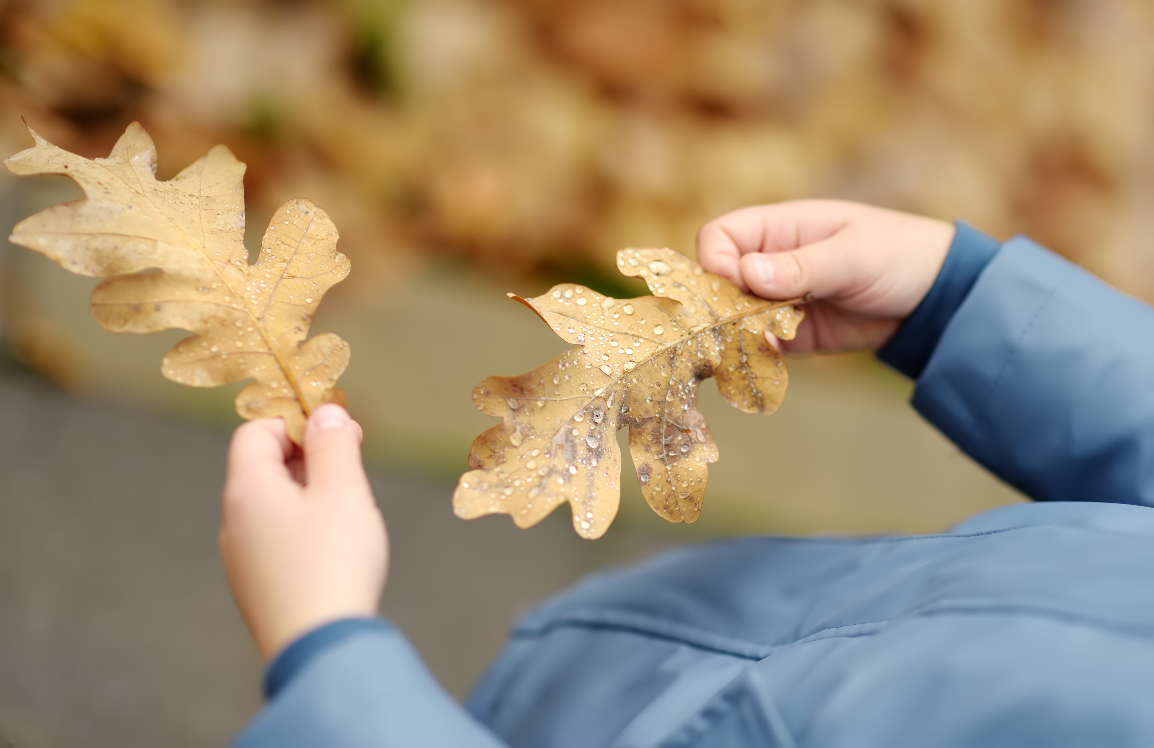 Barn i blå trøje holder to gule blade