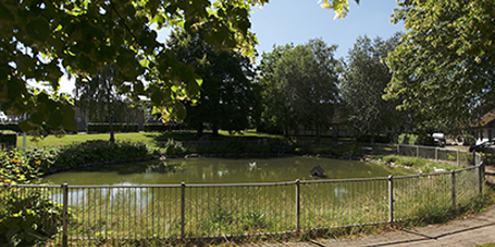 Billede Af gadekæret i Fensmark , bymotiv